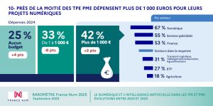 Près de la moitié des TPE PME dépensent plus de 1 000 euros pour leurs projets numériques.